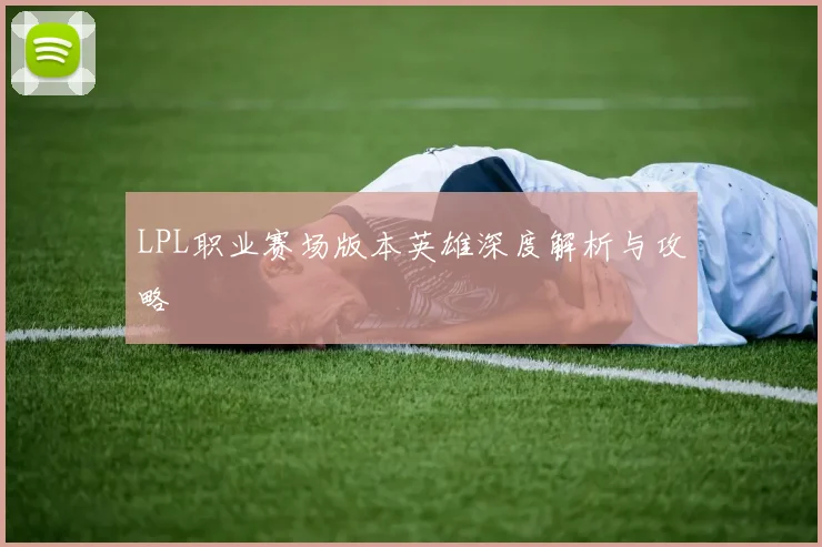 LPL职业赛场版本英雄深度解析与攻略