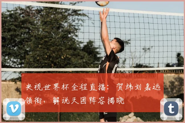 央视世界杯全程直播：贺炜刘嘉远领衔，解说天团阵容揭晓